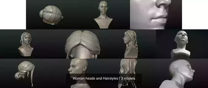 Woman heads and Hairstyles