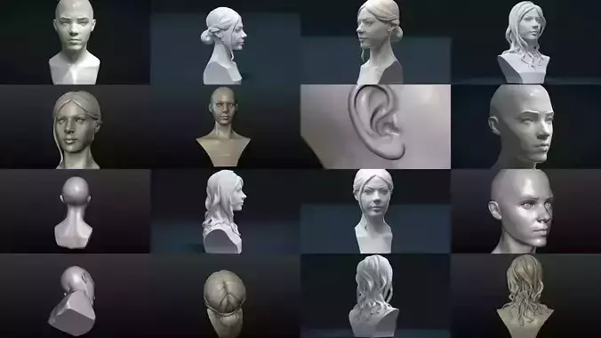 Woman heads and Hairstyles 3D Model Collection