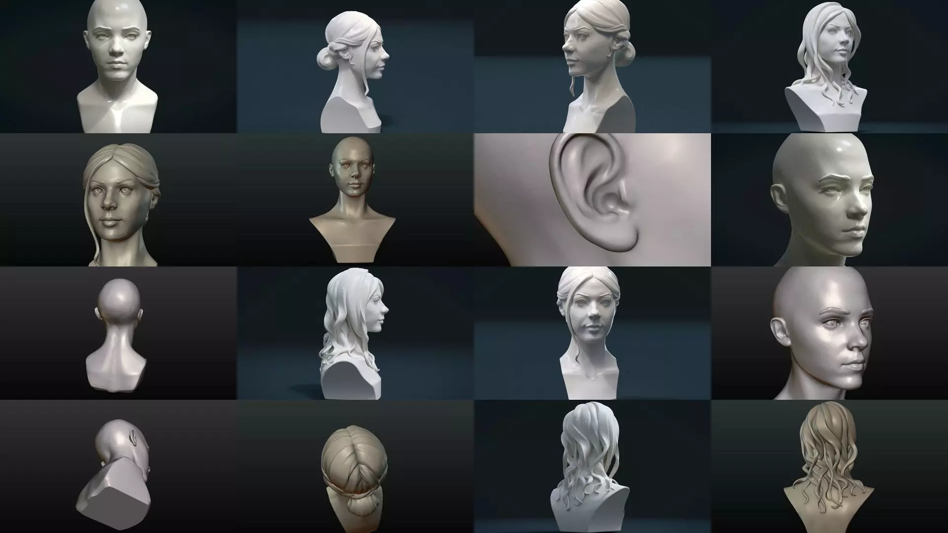 Woman heads and Hairstyles 3D Model Collection_0