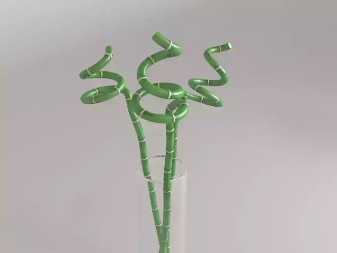 Bamboo in Vase Low-poly 3D model