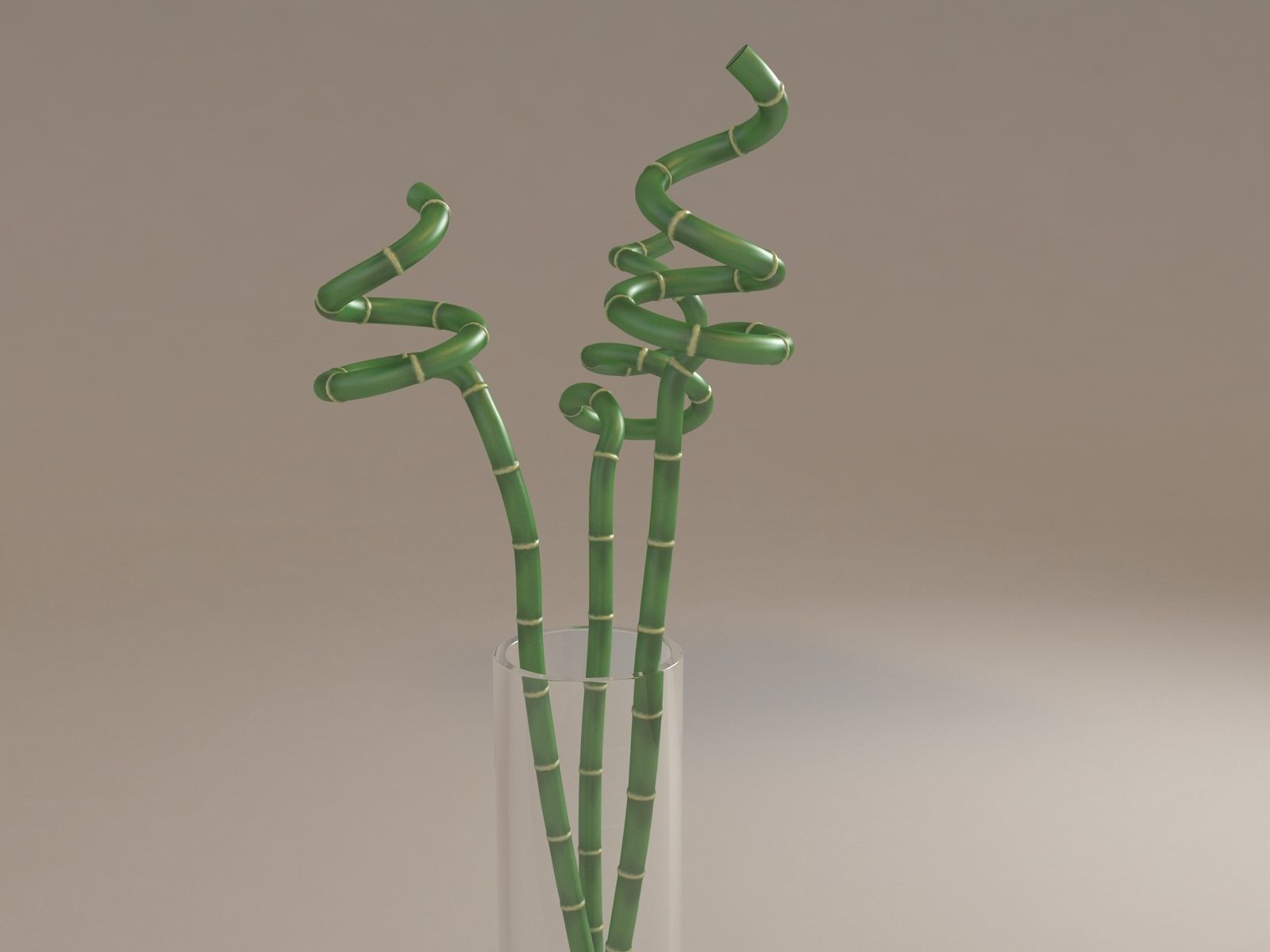 Bamboo in Vase Low-poly 3D model_4