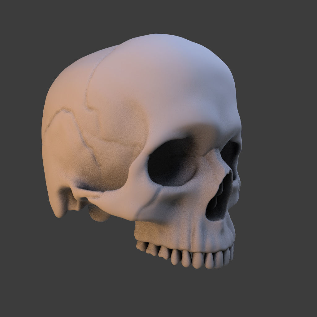 High Poly Skull 3D model_9