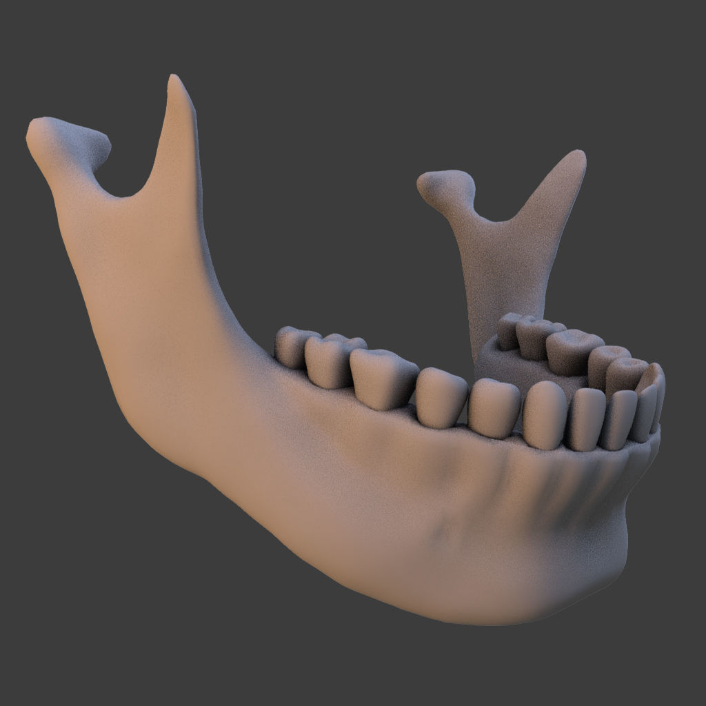 High Poly Skull 3D model_15