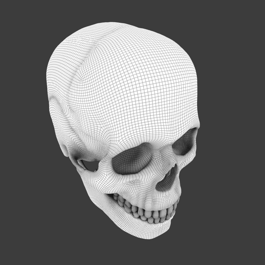 High Poly Skull 3D model_2