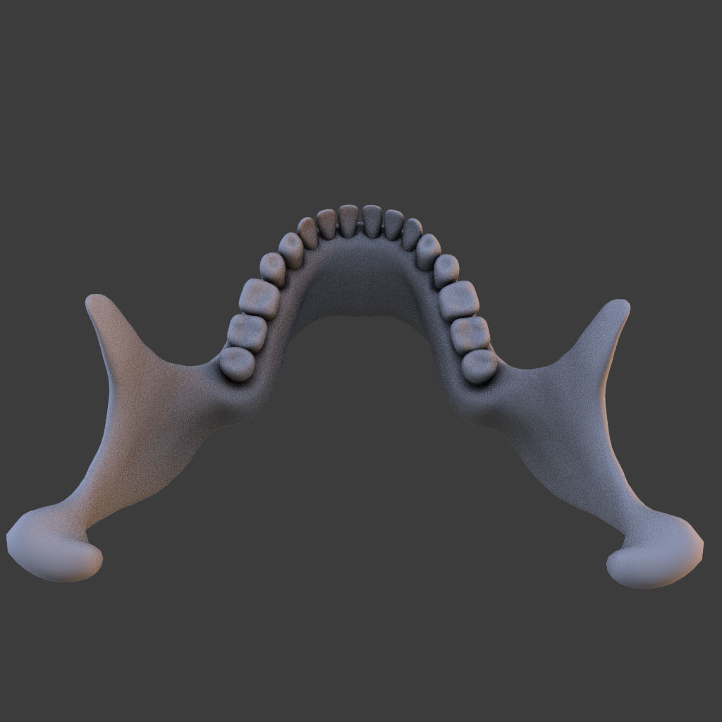 High Poly Skull 3D model_17