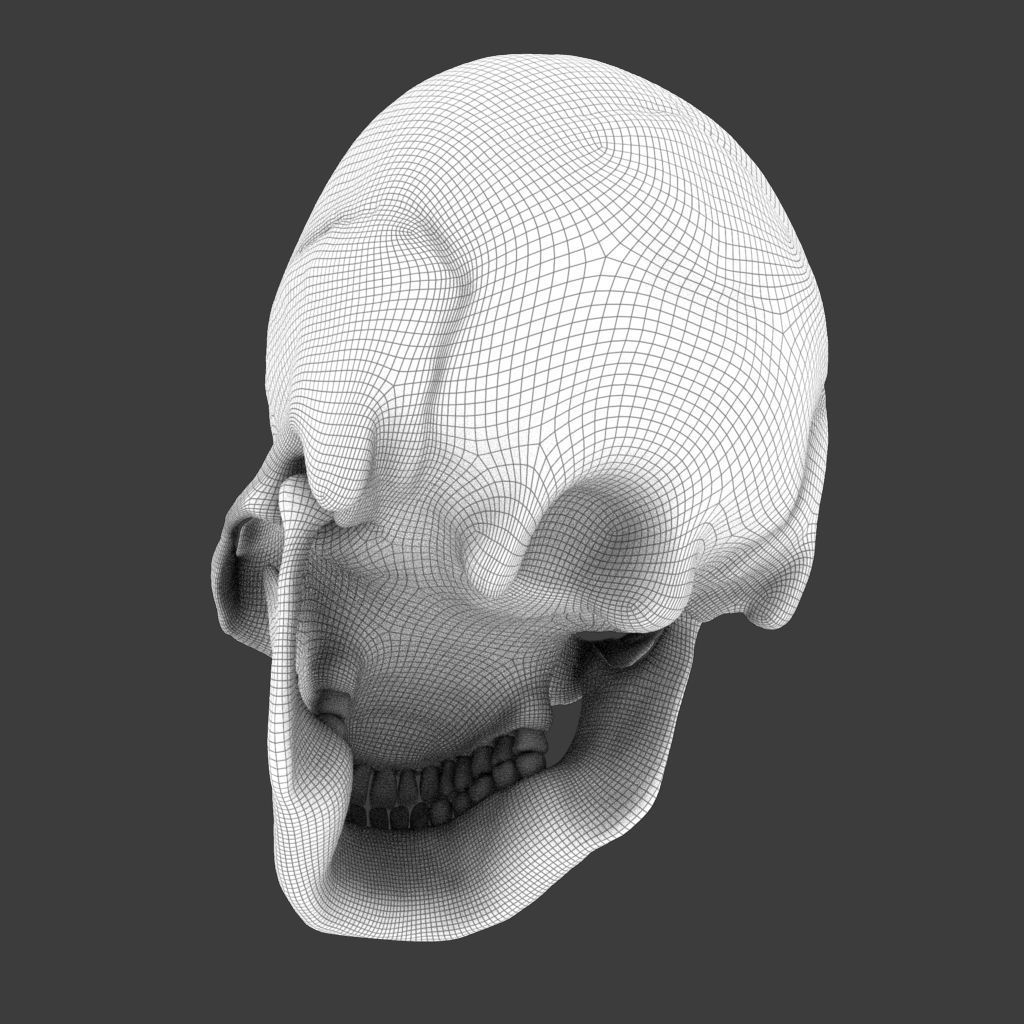 High Poly Skull 3D model_6