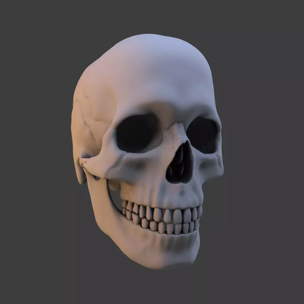 High Poly Skull 3D model_0