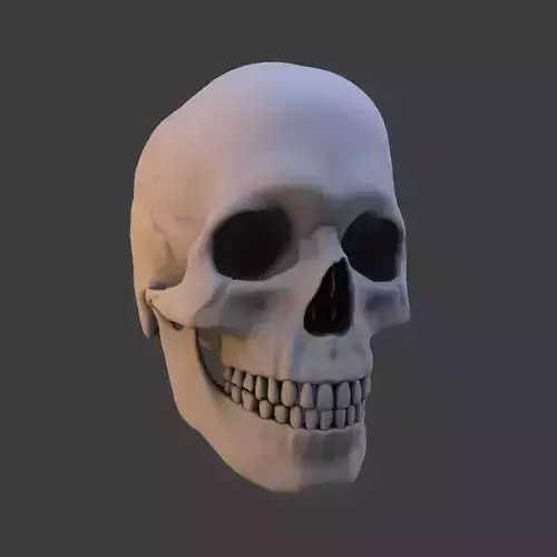 High Poly Skull