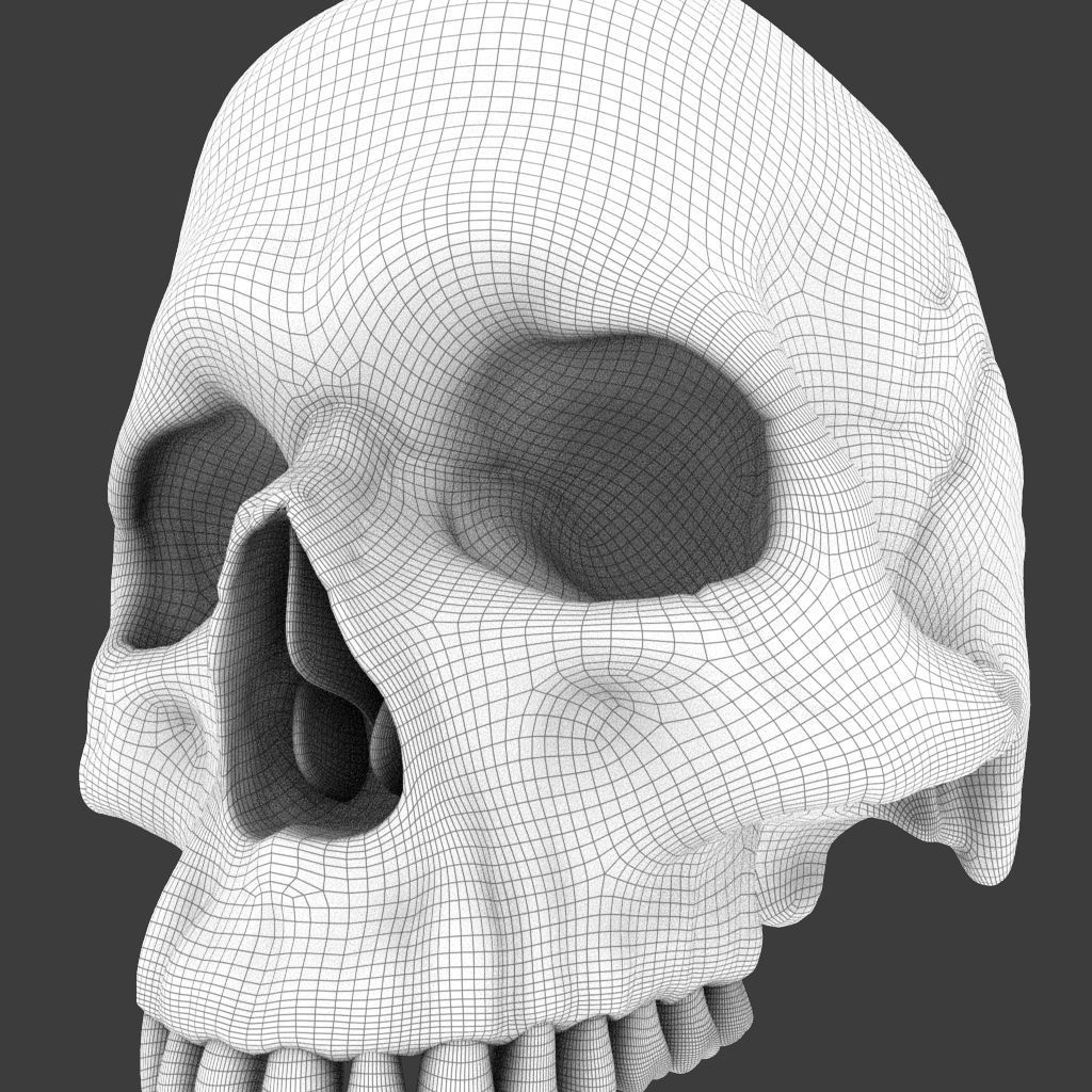 High Poly Skull 3D model_14