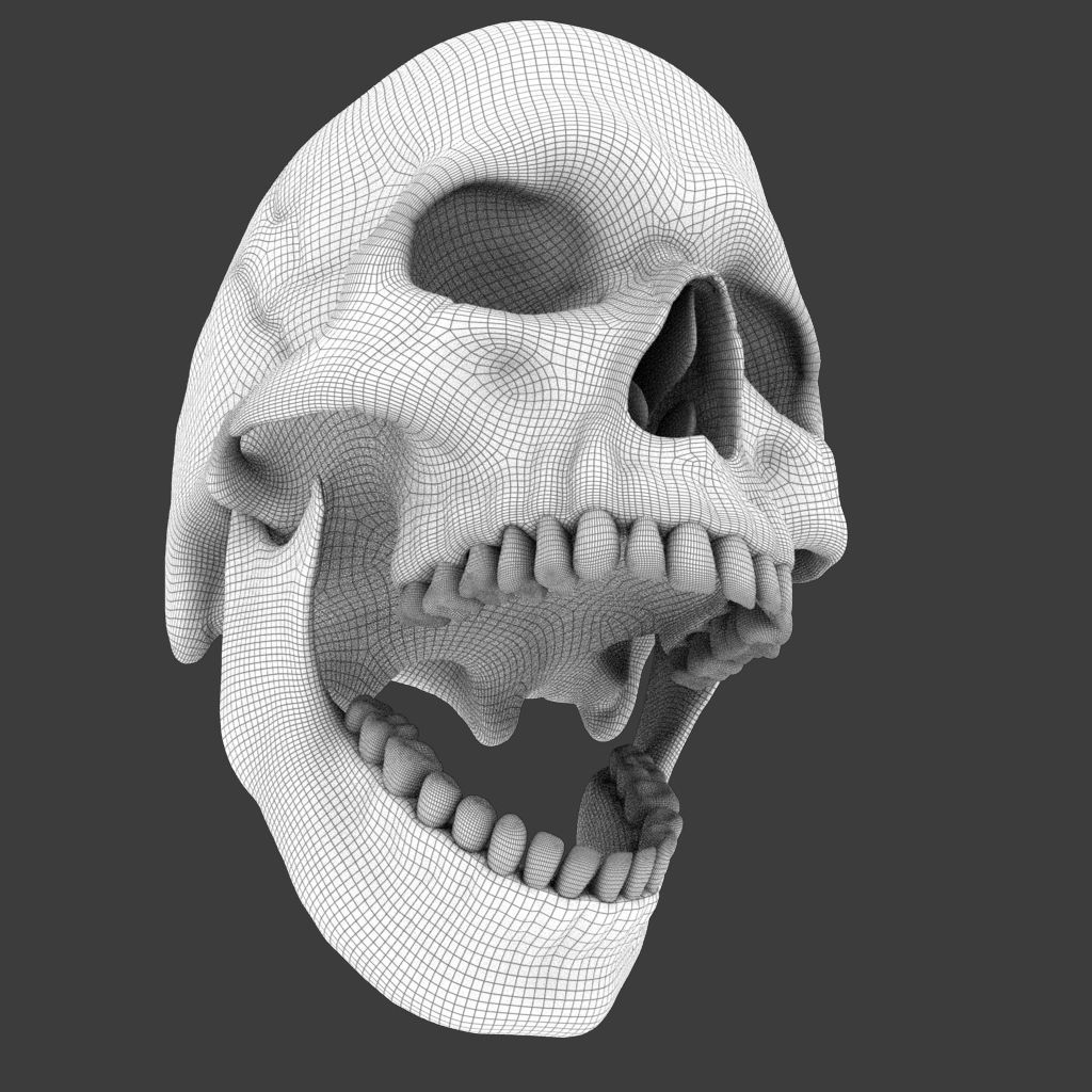 High Poly Skull 3D model_20