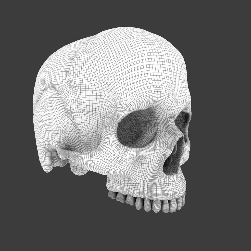 High Poly Skull 3D model_10