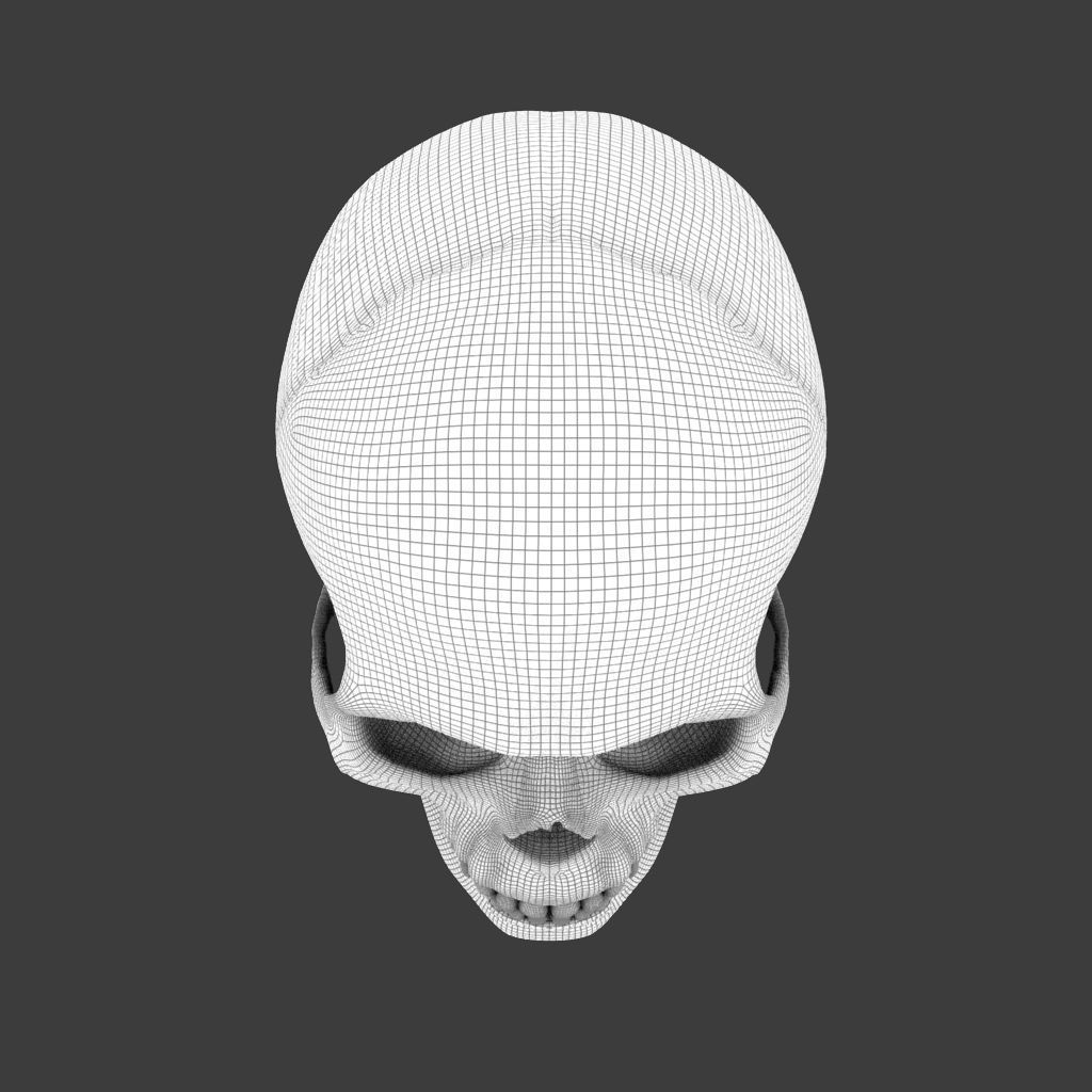High Poly Skull 3D model_8