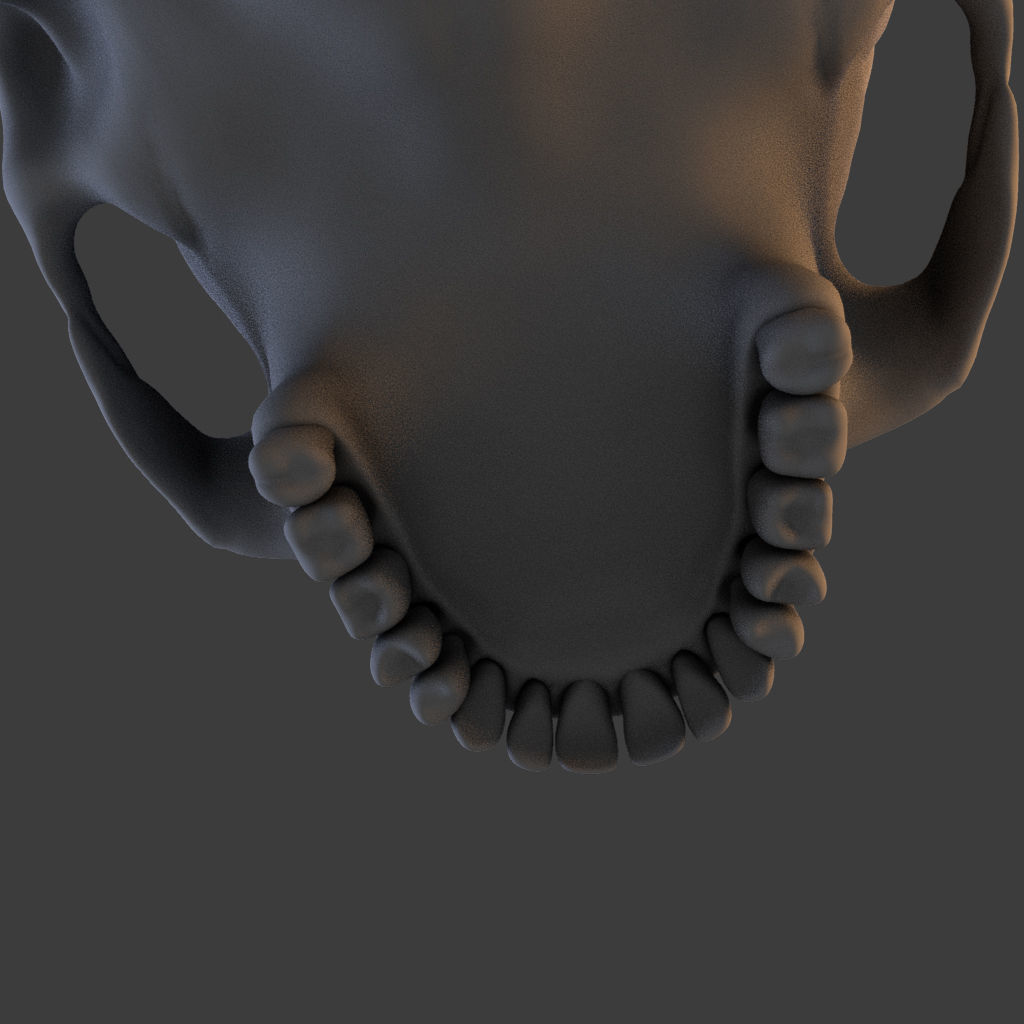 High Poly Skull 3D model_11