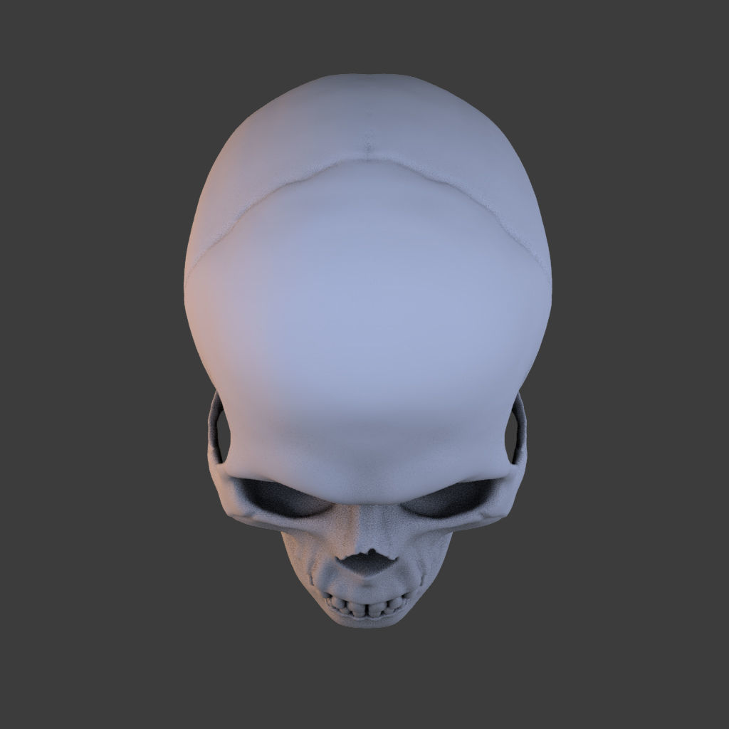 High Poly Skull 3D model_7