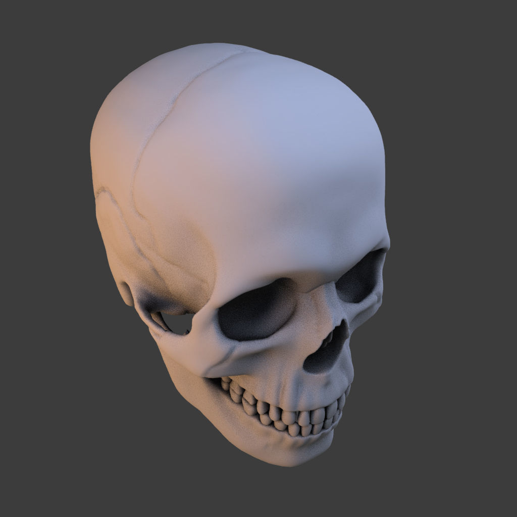 High Poly Skull 3D model_1