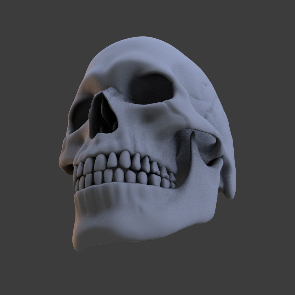 High Poly Skull 3D model_3