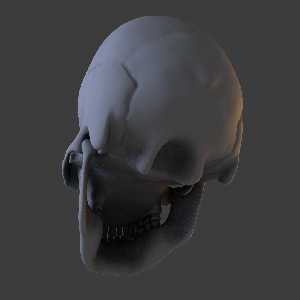 High Poly Skull 3D model_5