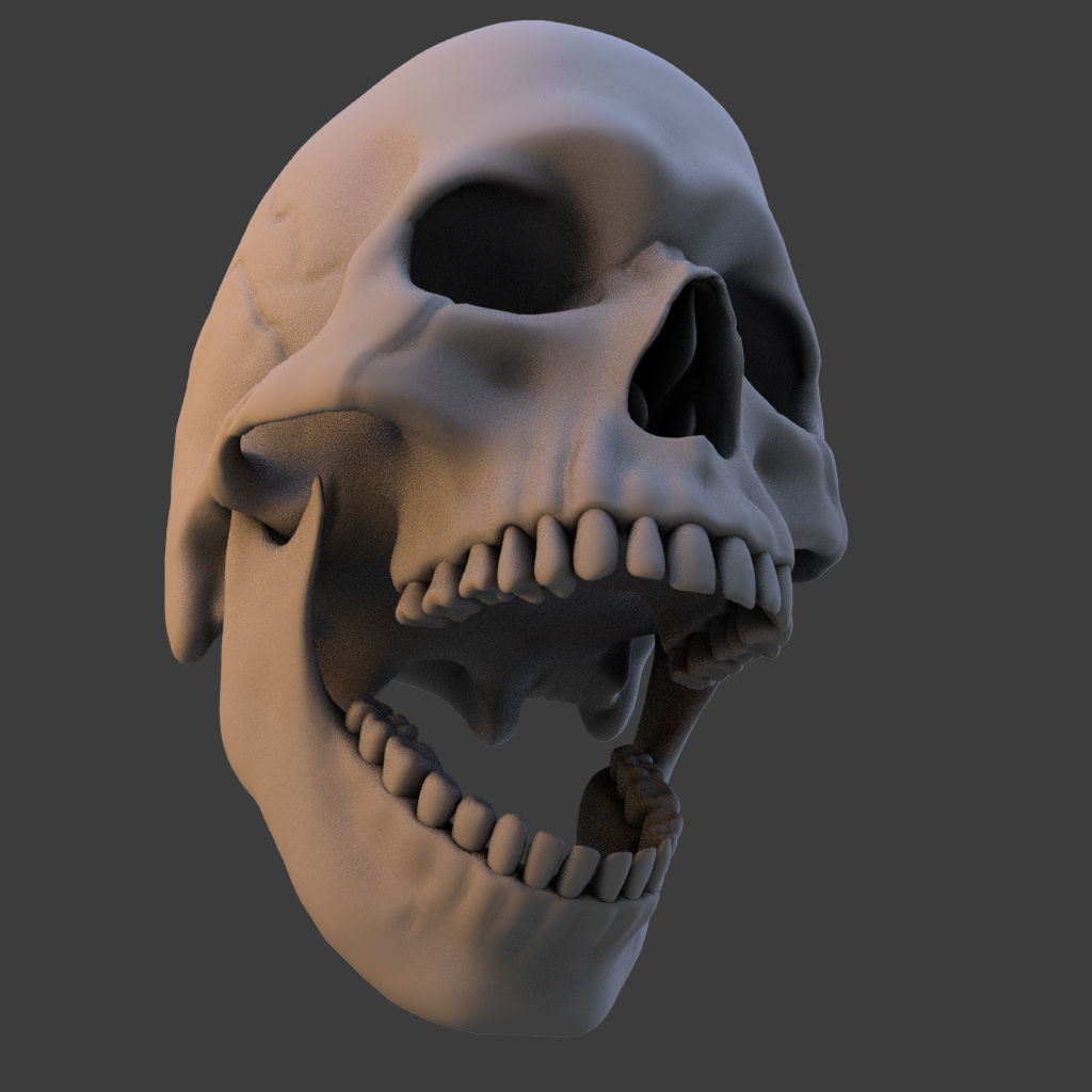 High Poly Skull 3D model_19