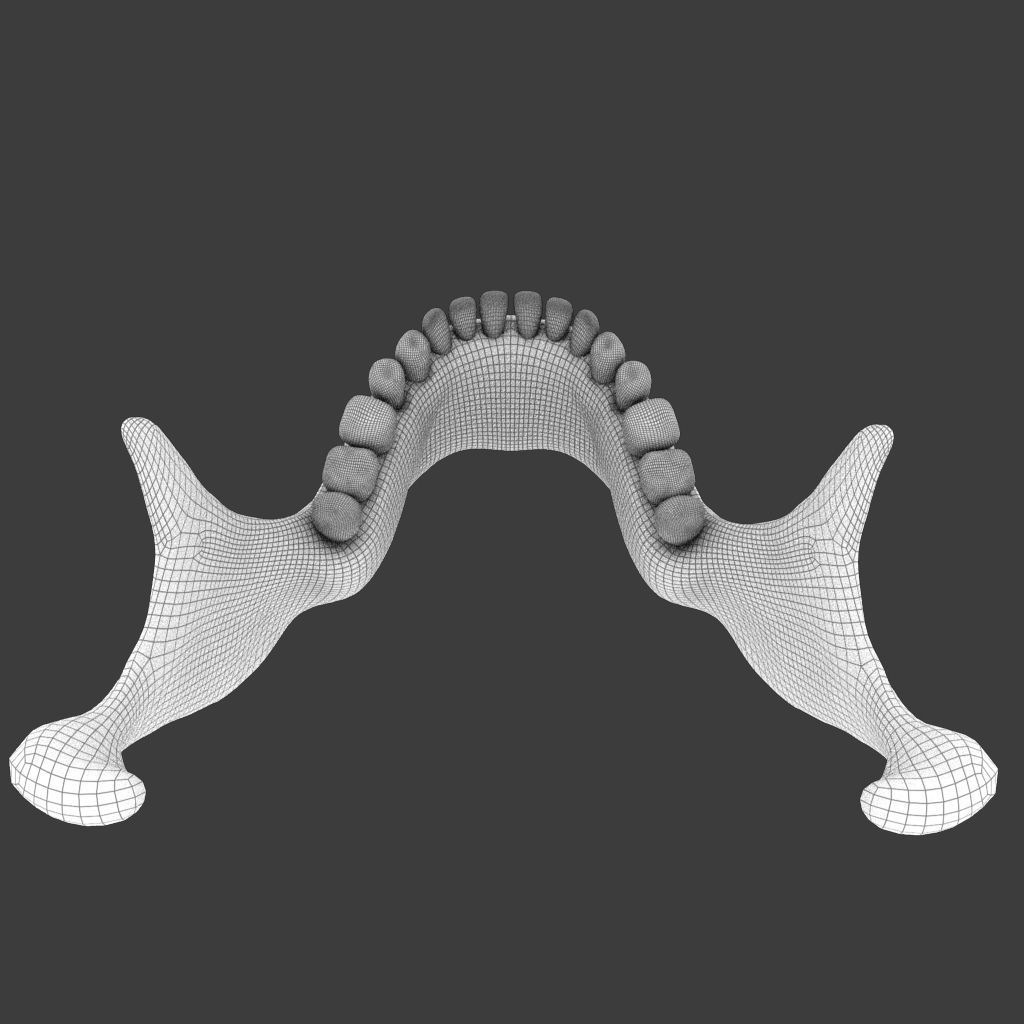 High Poly Skull 3D model_18