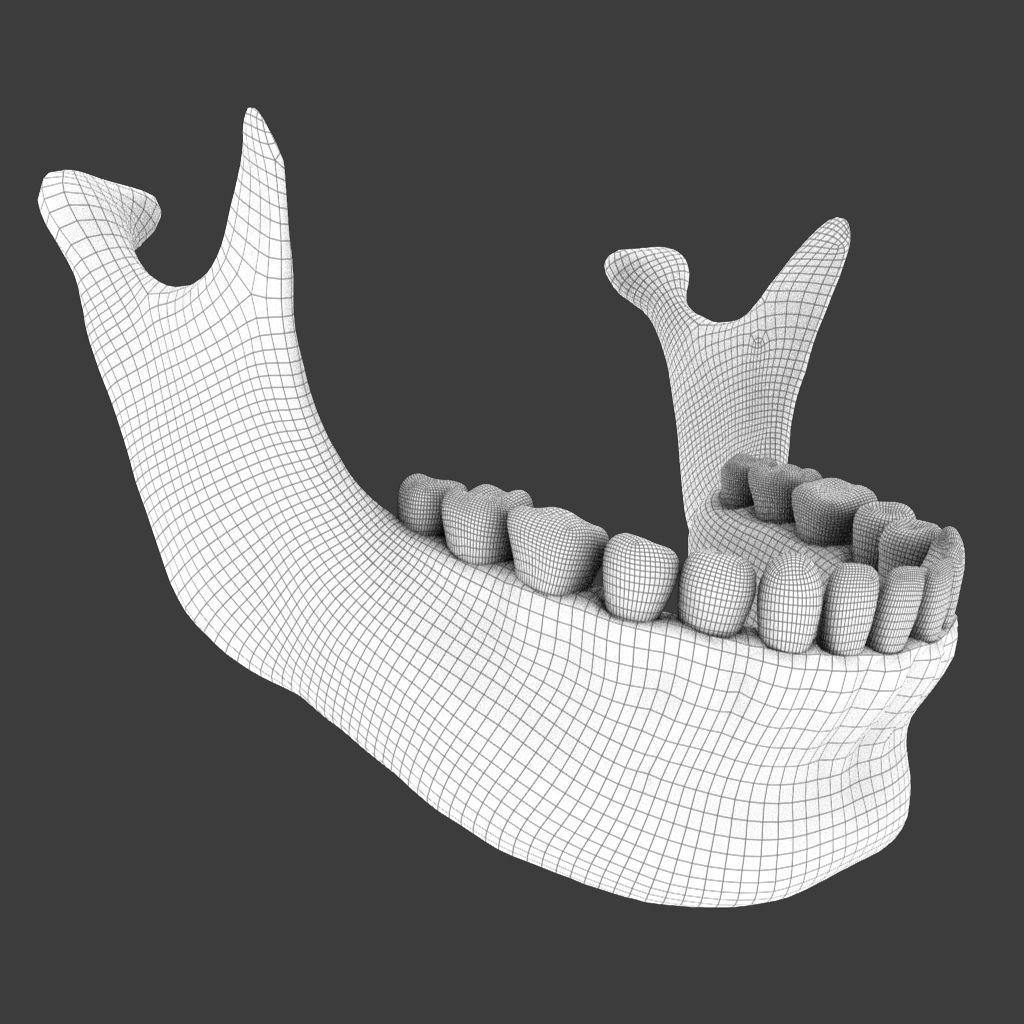 High Poly Skull 3D model_16