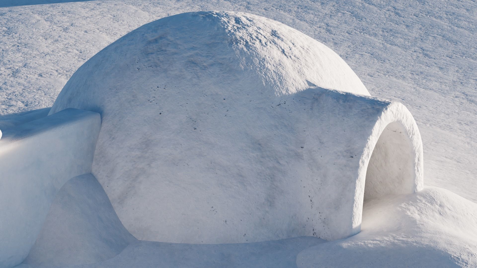 Winter Collection igloo _7