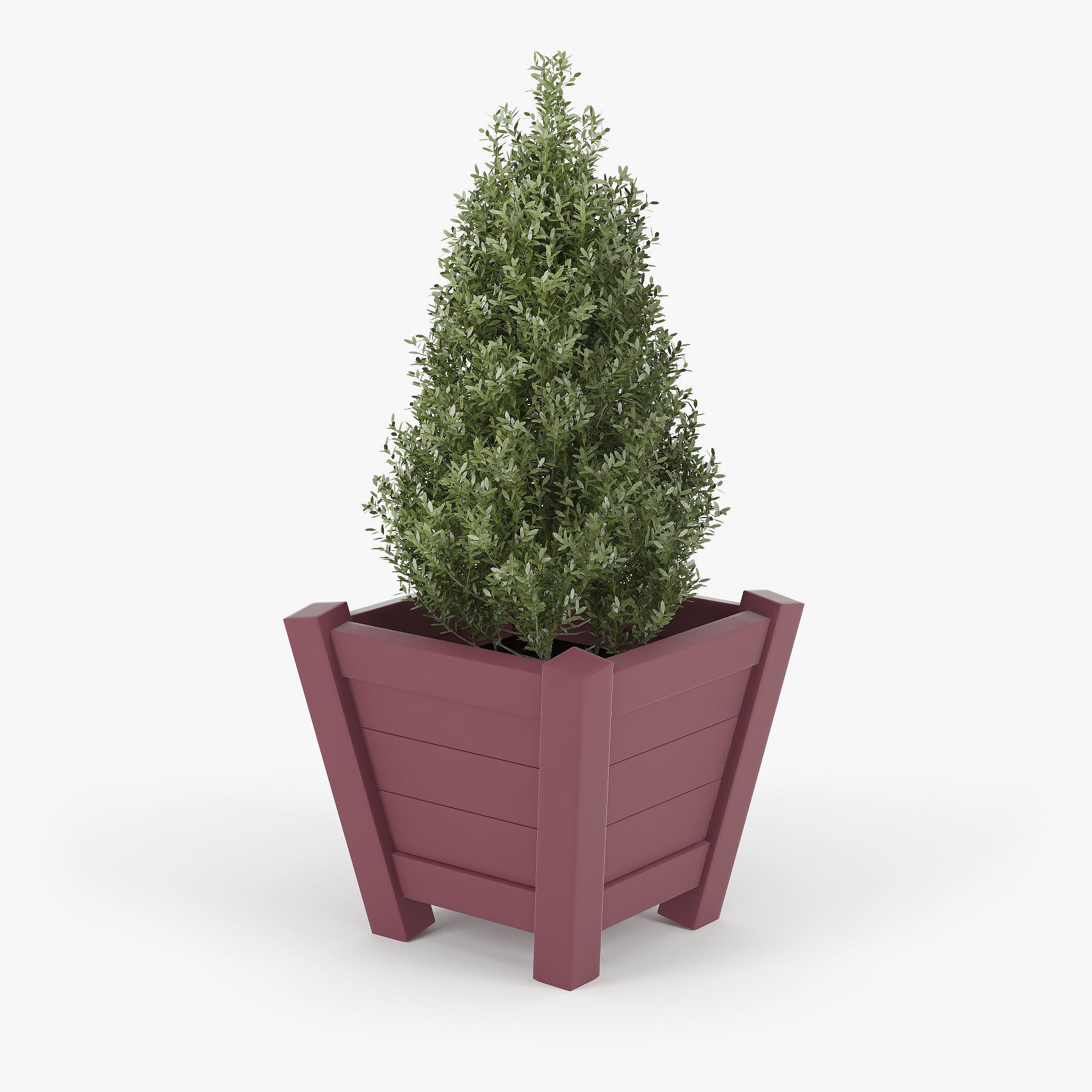 Buxus red pot 3D model_2