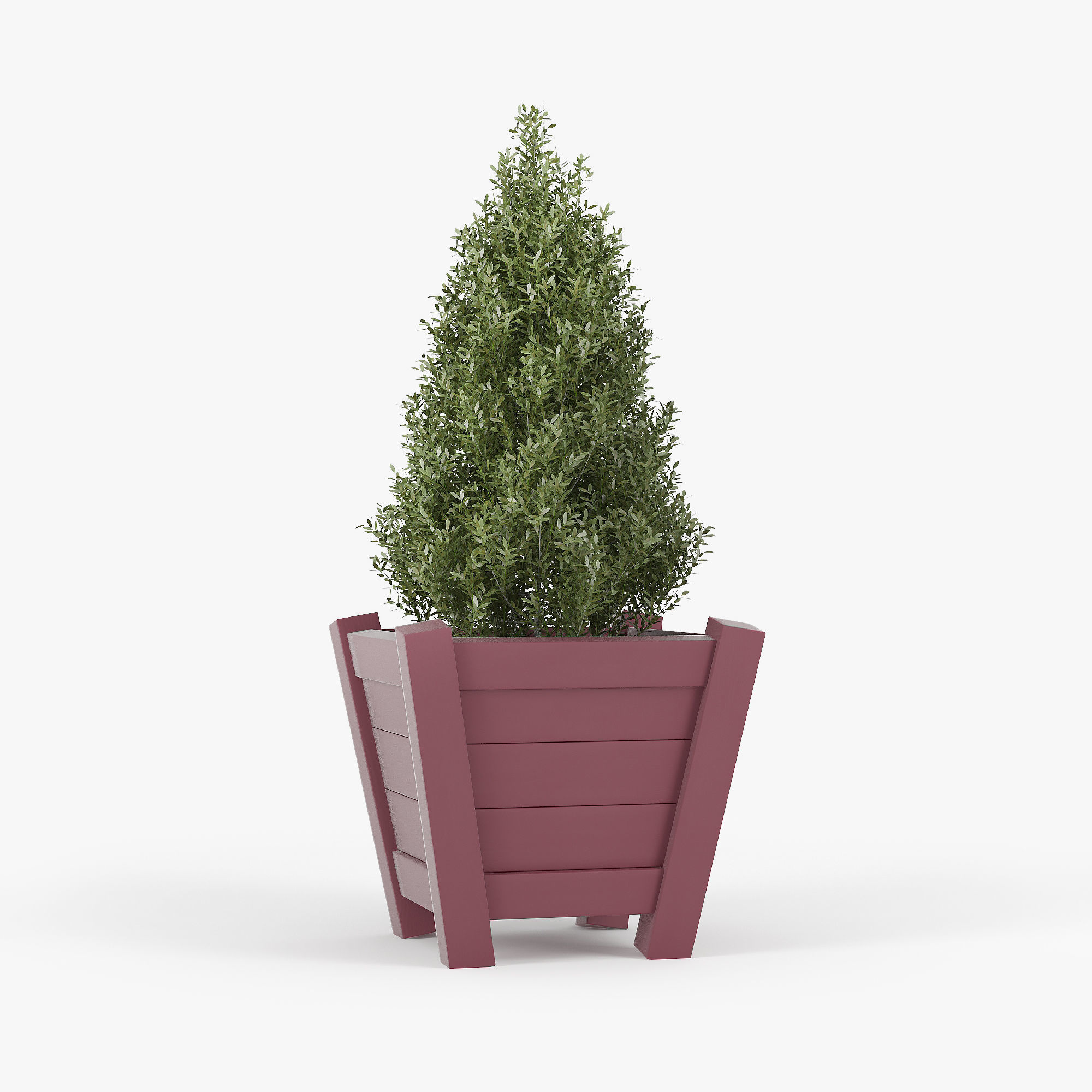 Buxus red pot 3D model_1