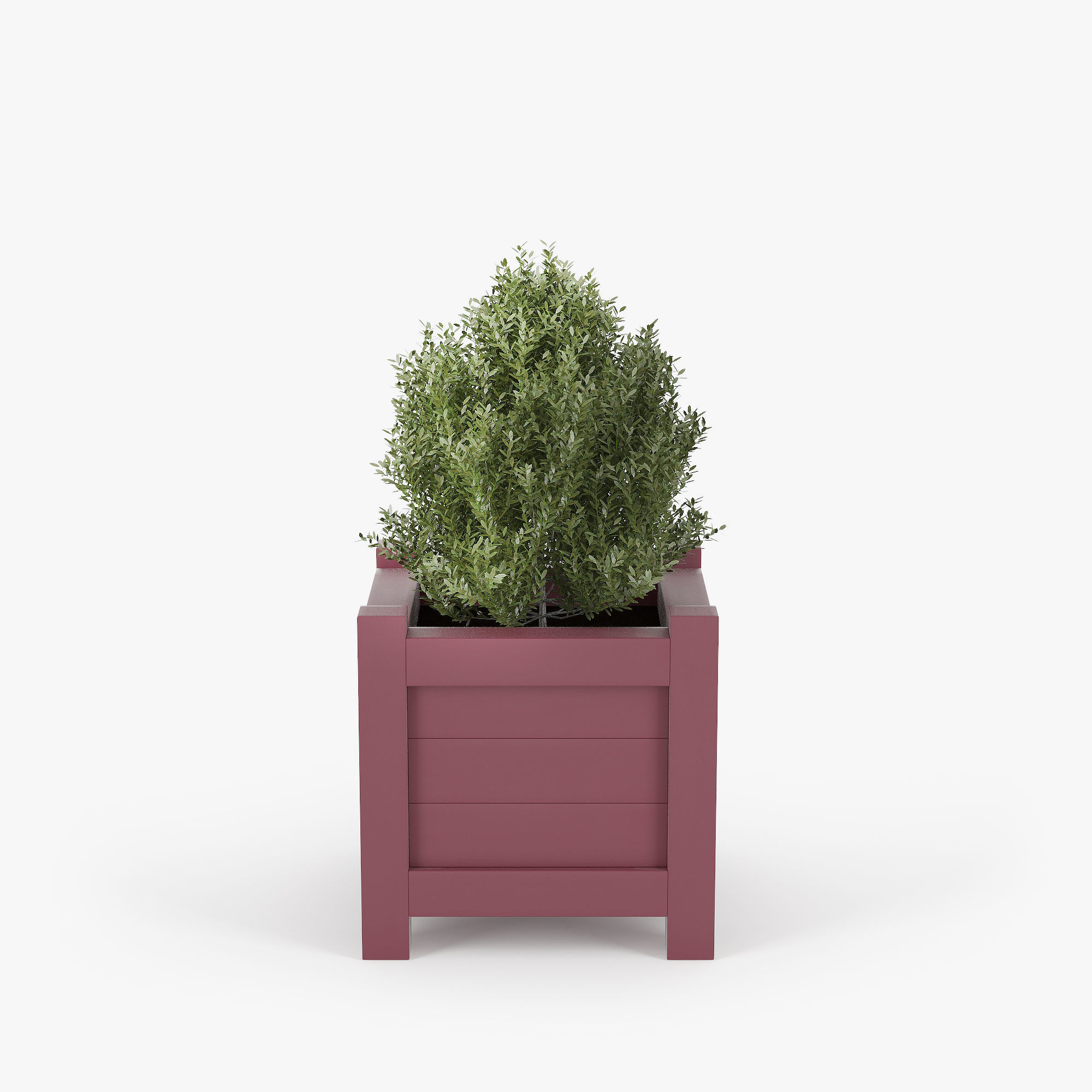 Buxus red pot 3D model_5