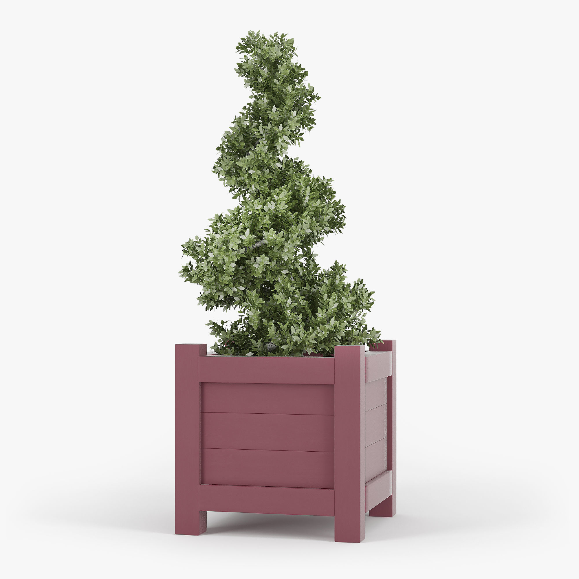 Buxus red pot 3D model_7