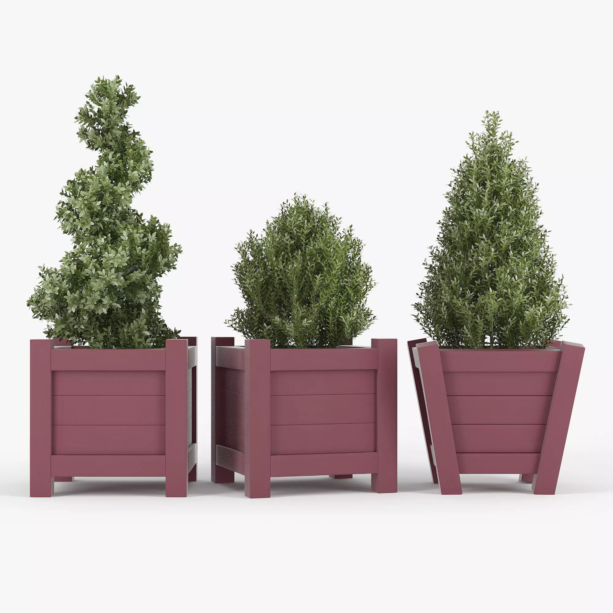 Buxus red pot 3D model_0