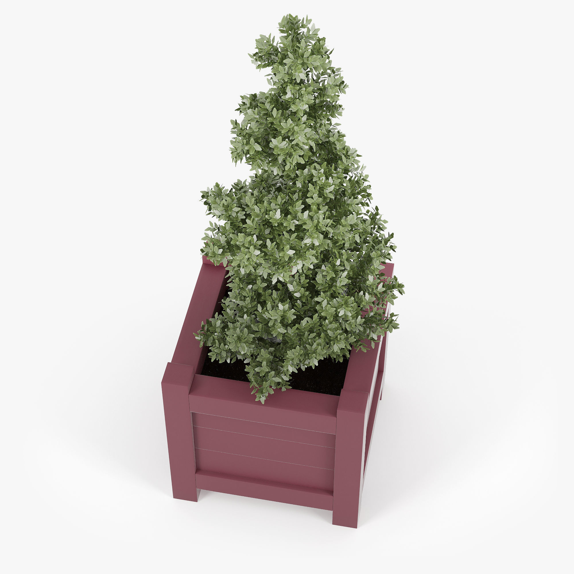 Buxus red pot 3D model_9