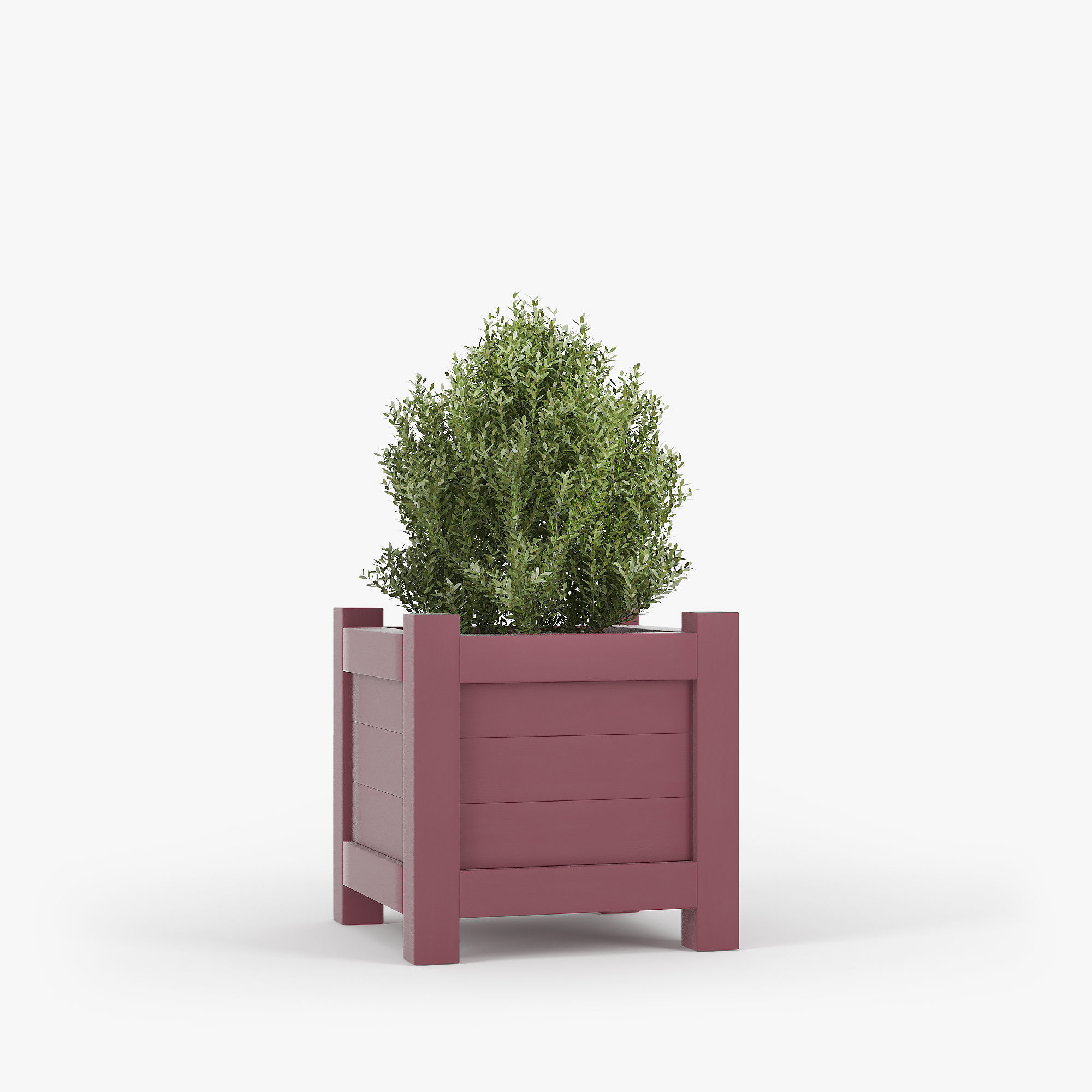 Buxus red pot 3D model_6