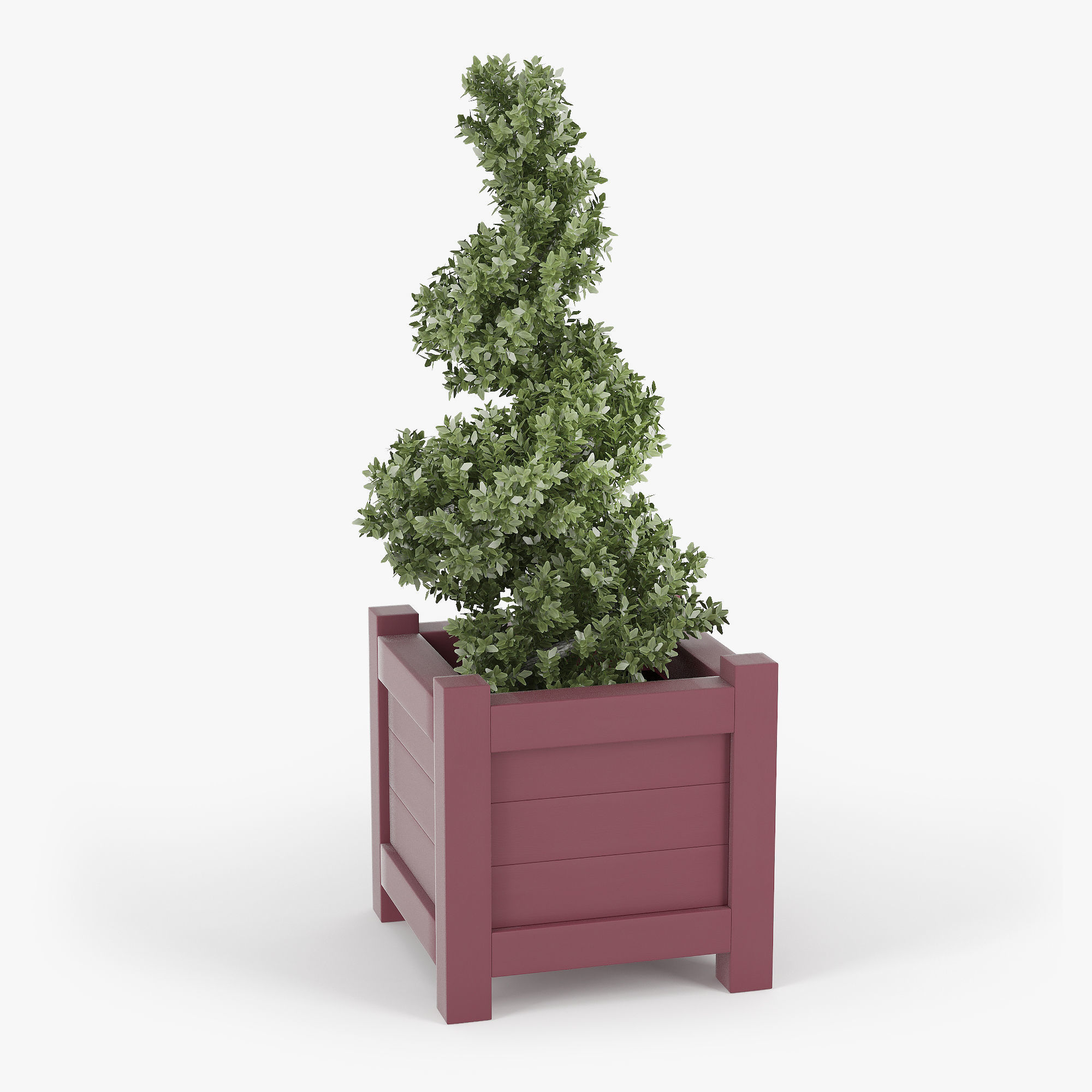 Buxus red pot 3D model_8