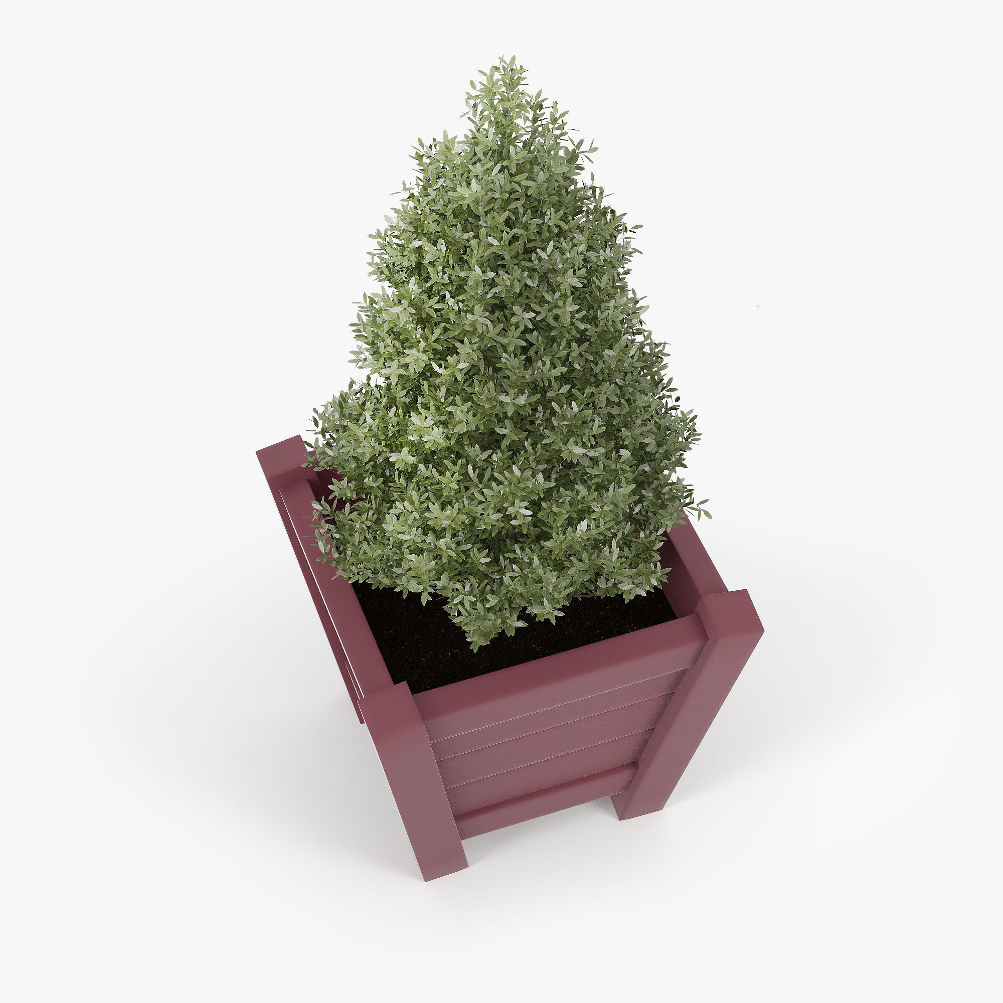 Buxus red pot 3D model_3