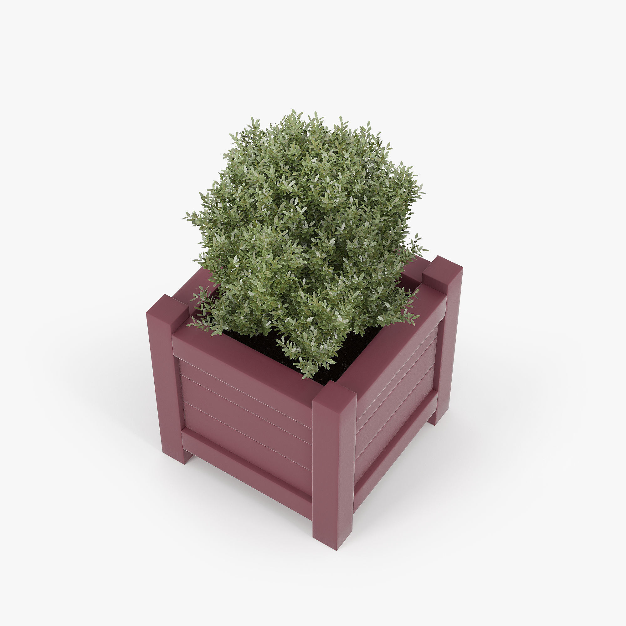 Buxus red pot 3D model_4