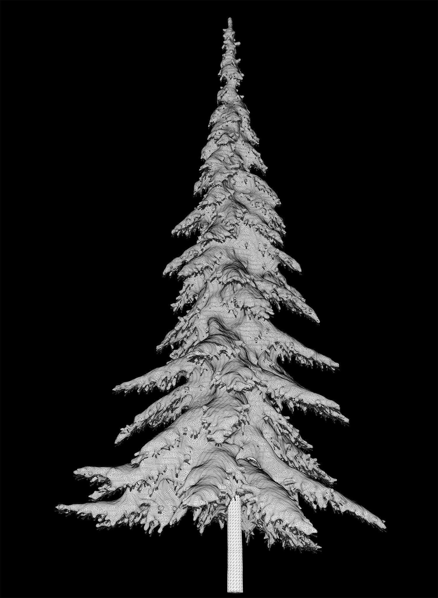 Snow-covered trees 3D model_8
