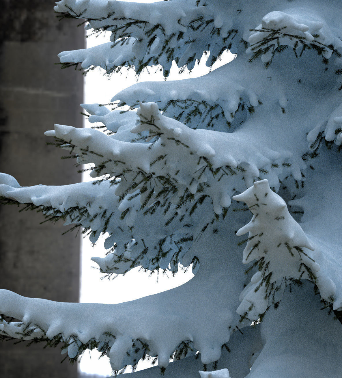 Snow-covered trees 3D model_7