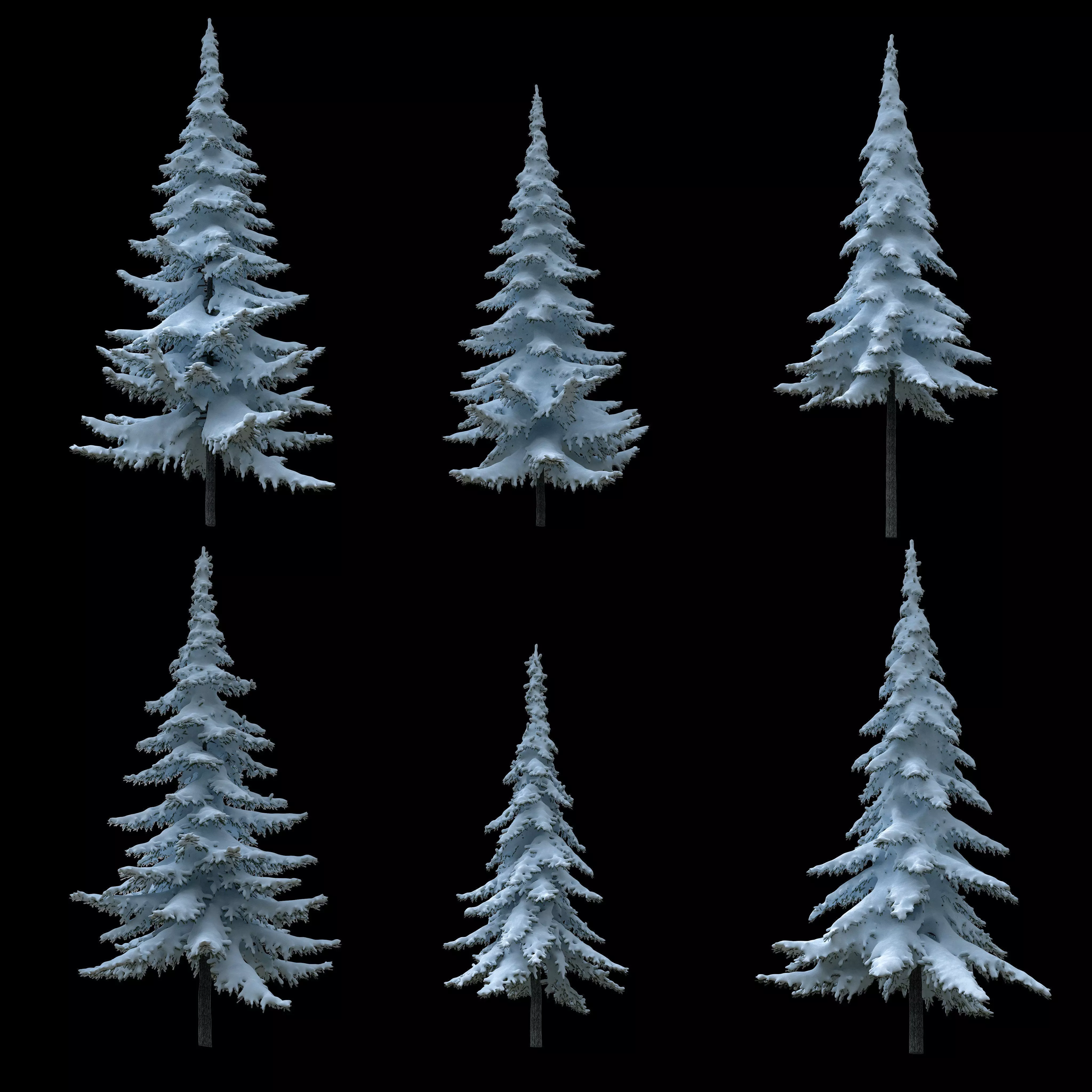 Snow-covered trees 3D model_0