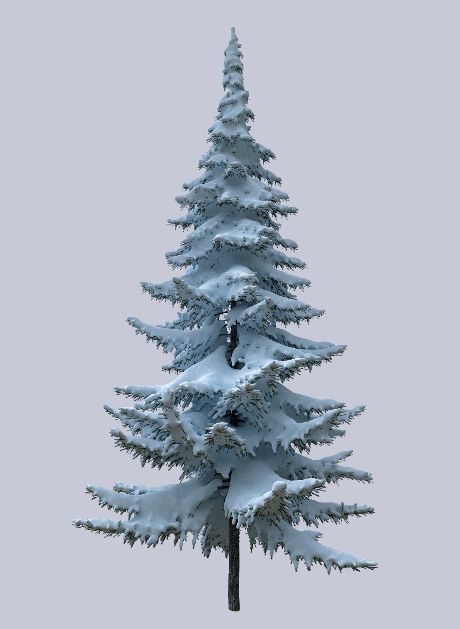 Snow-covered trees 3D model_2