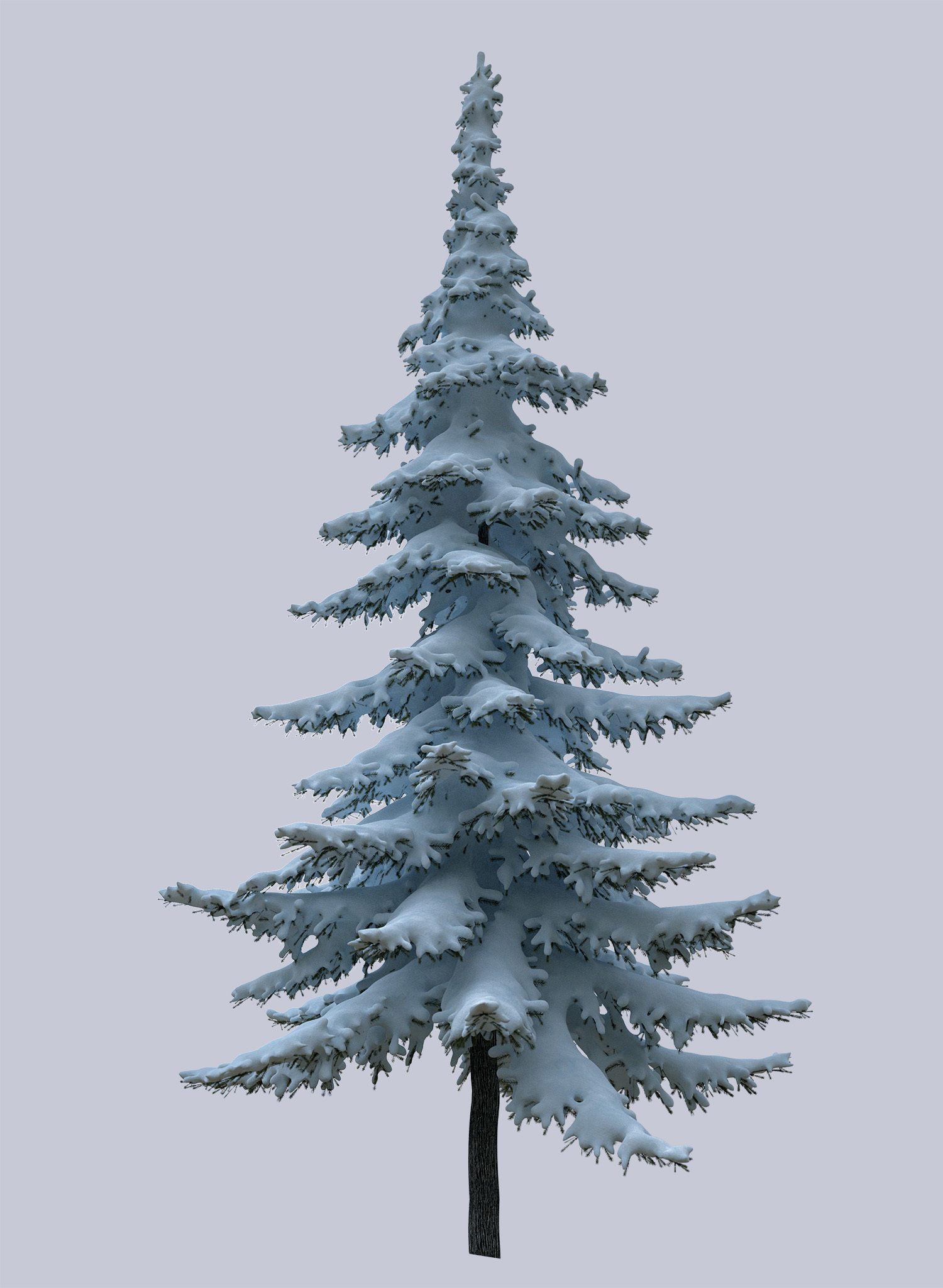 Snow-covered trees 3D model_3