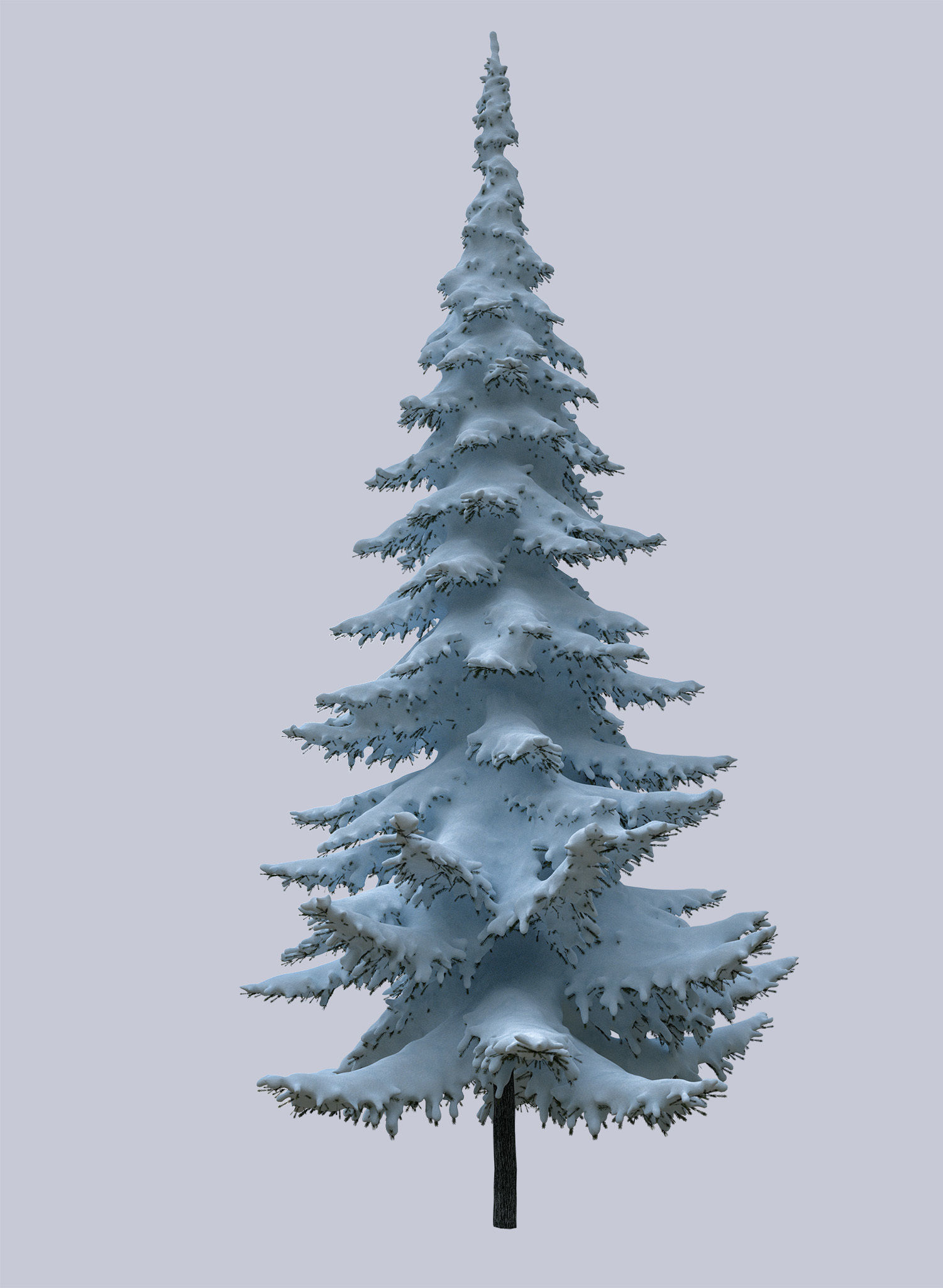 Snow-covered trees 3D model_4