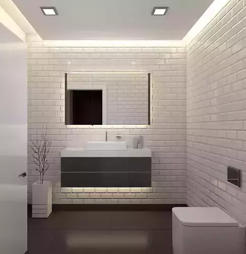 Black-White Bathroom WC Design