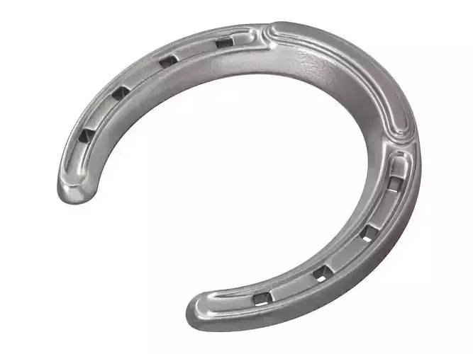 Horseshoe stainless steel 3D model