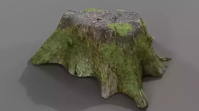 Stump tree with moss Low-poly 3D model