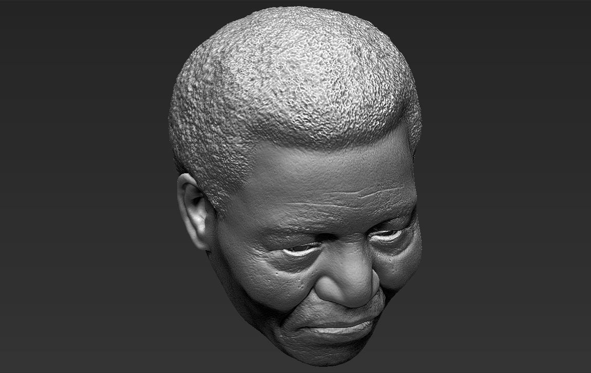 Nelson Mandela 3D model_40