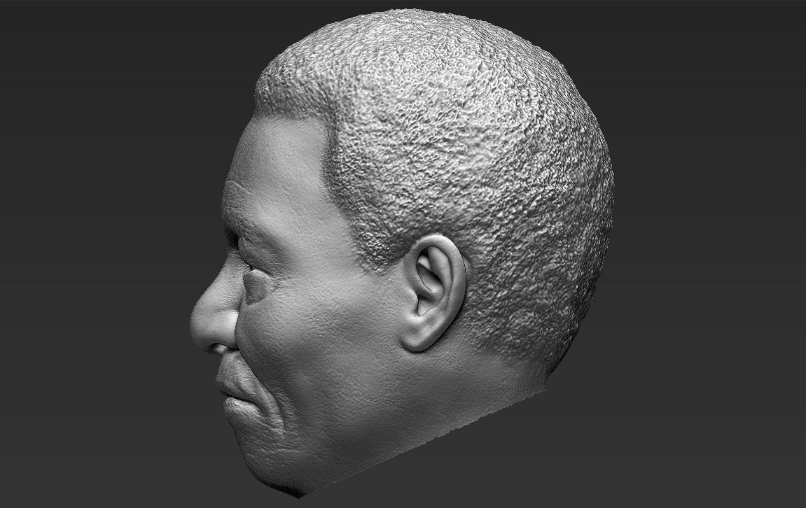 Nelson Mandela 3D model_29
