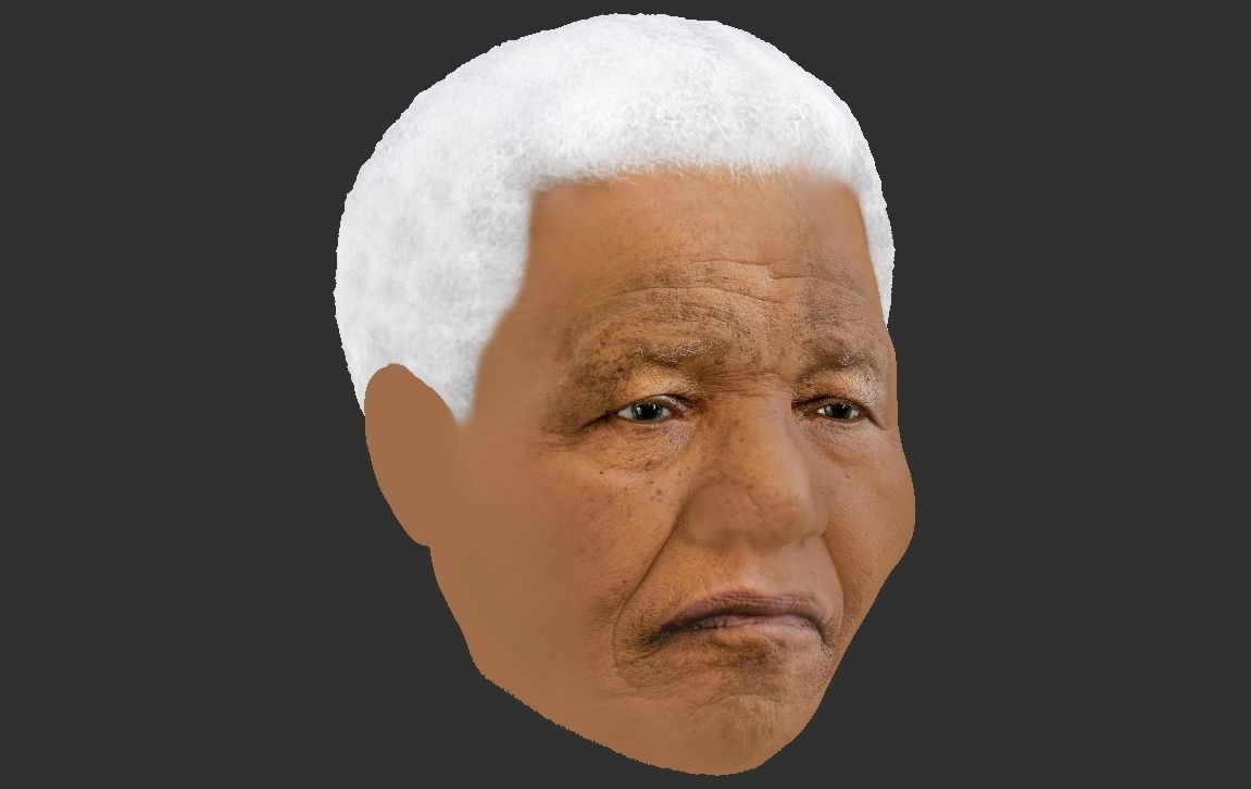 Nelson Mandela 3D model_25