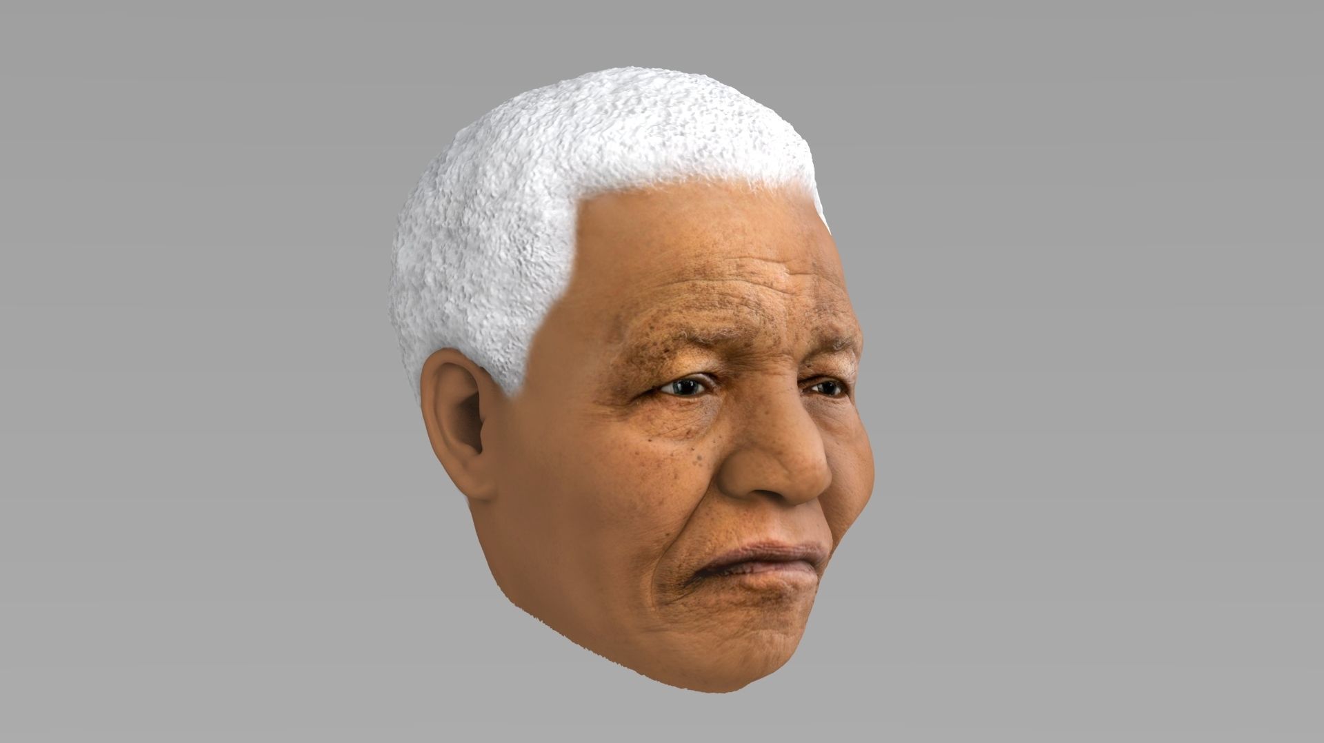 Nelson Mandela 3D model_10