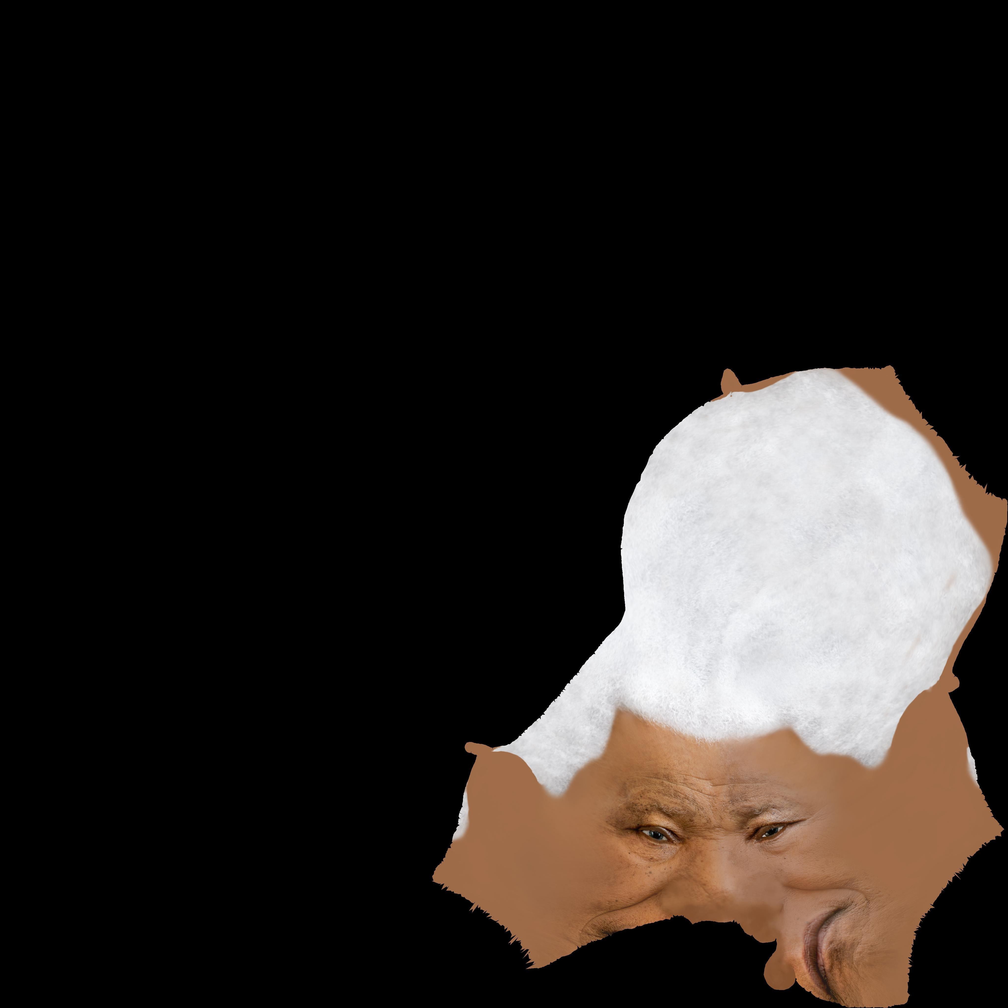 Nelson Mandela 3D model_19