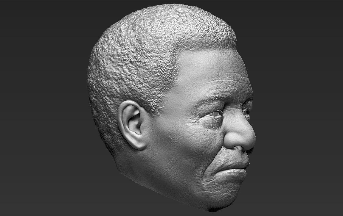 Nelson Mandela 3D model_36
